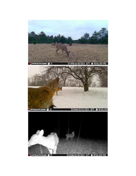 Cámara de Sendero Stealth Cam Revolver PRO 40MP 1440P GPS Cámara de Sendero Stealth Cam Revolver PRO 40MP 1440P GPS