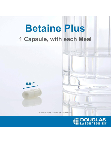 Betaine Plus Douglas Laboratories - 250 Cápsulas Vegetarianas Betaine Plus Douglas Laboratories - 250 Cápsulas Vegetarianas