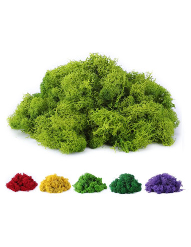 Musgo Falso Preservado Chartreuse 99.7g para Manualidades
