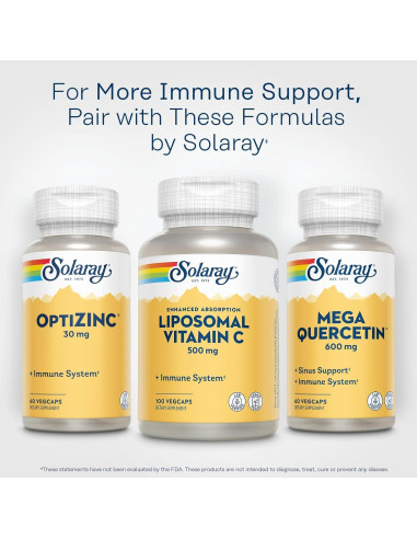 Vitamina C Liposomal Solaray 500mg - Antioxidante Vegano 100 VegCaps