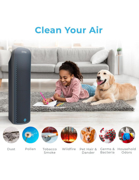 Purificador de Aire Pure Enrichment PureZone Elite HEPA Purificador de Aire Pure Enrichment PureZone Elite HEPA