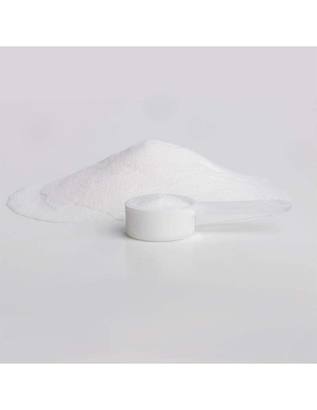 Polvo de Malato de Magnesio Seeking Health 500 mg - 100 Porciones Polvo de Malato de Magnesio Seeking Health 500 mg - 100 Porciones