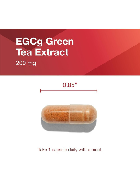 Extracto de Té Verde EGCg 200 mg - 90 Cápsulas Veganas Extracto de Té Verde EGCg 200 mg - 90 Cápsulas Veganas