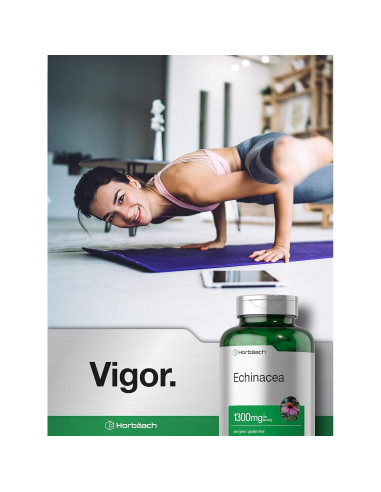 Cápsulas de Equinácea Horbach 1300mg - 300 Unidades - Vegano