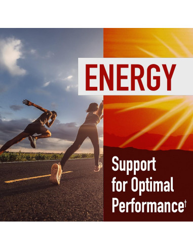 Suplemento Energético Hi-EnerG Ginseng 500 mg 20 Porciones
