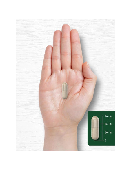 Cápsulas de Romero Carlyle 1200mg 200 Unidades Sin OGM Gluten Cápsulas de Romero Carlyle 1200mg 200 Unidades Sin OGM Gluten