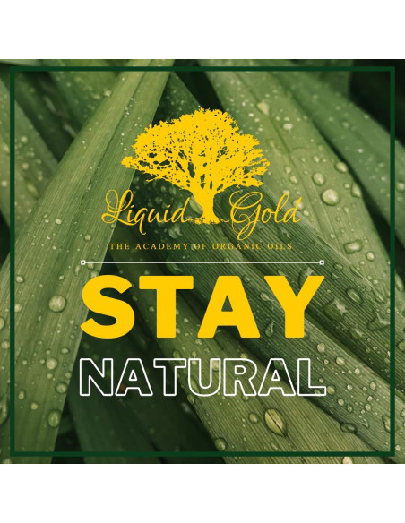 Aceite Herbal de Hierba de San Juan 240 ml - Cuidado Natural Aceite Herbal de Hierba de San Juan 240 ml - Cuidado Natural