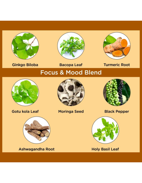 Suplemento Cognitivo Organic Veda Ginkgo Biloba 60 Cápsulas Veganas Suplemento Cognitivo Organic Veda Ginkgo Biloba 60 Cápsulas Veganas
