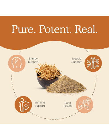 Cápsulas de Cordyceps Militaris Real Mushrooms 120 Caps Veganas