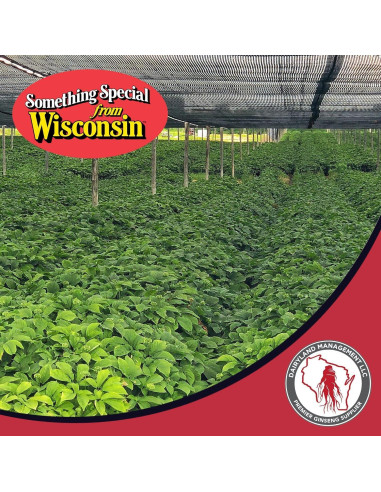 Raíces de Ginseng Americano Dairyland 113.4 g - No OGM, Libre de Gluten