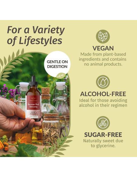 Tintura de Ginseng Rojo Panax Herbamama - 56 Días - Vegano Tintura de Ginseng Rojo Panax Herbamama - 56 Días - Vegano