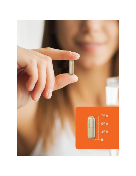 Cápsulas de Hongo Reishi Carlyle 5000mg 120 Unidades Suplemento Cápsulas de Hongo Reishi Carlyle 5000mg 120 Unidades Suplemento