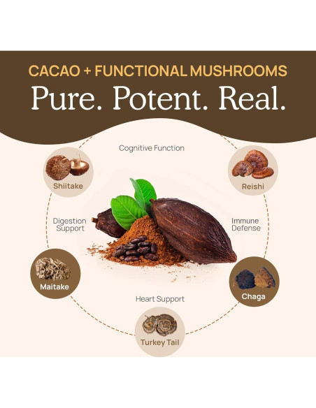 Mezcla de Chocolate Caliente Sin Azúcar Real Mushrooms 240g Mezcla de Chocolate Caliente Sin Azúcar Real Mushrooms 240g