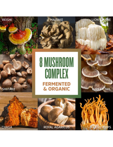 Polvo de Hongo Orgánico Zhou Nutrition 8-Plex 60.78 g