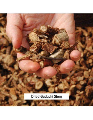 Polvo de Guduchi Orgánico Banyan Botanicals 99.22 g - Suplemento Salud Inmunológica