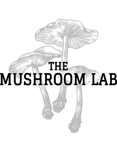 Jeringas de Cultivo de Hongos Medicinales The Mushroom Lab - 3x10ml