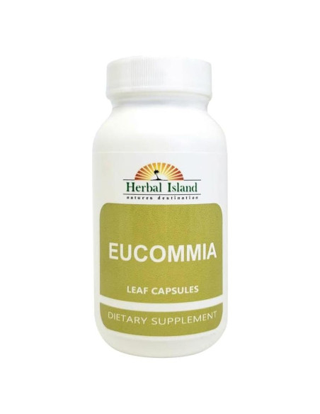 Cápsulas de Polvo de Hoja de Eucommia Herbal Island 120 Unidades Cápsulas de Polvo de Hoja de Eucommia Herbal Island 120 Unidades