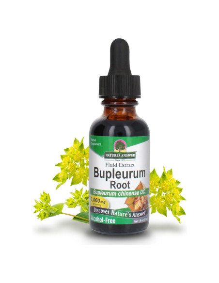 Raíz de Bupleurum Nature's Answer 1000mg - Suplemento Herbal Natural Raíz de Bupleurum Nature's Answer 1000mg - Suplemento Herbal Natural