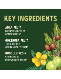 Suplemento Ayurvédico Orgánico Banyan Botanicals Gokshuradi Guggulu 113 g 2