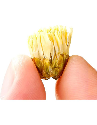 Té de Flores de Crisantemo 150g Yunnan Jiarui - Té Suelto