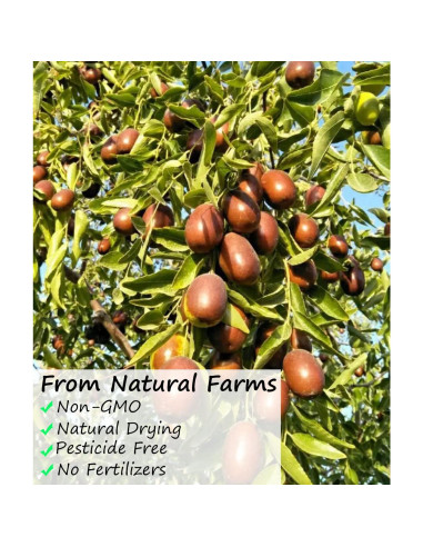 Fechas Rojas Jujube Premium 453g YILINSHA 100% Natural