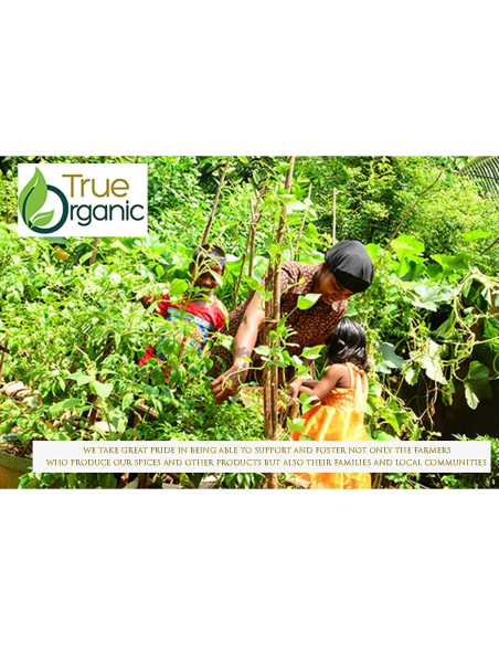 Canela de Ceilán Orgánica en Palitos 0.45 kg Verdadero Canela de Ceilán Orgánica en Palitos 0.45 kg Verdadero