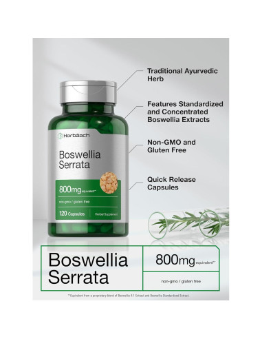 Cápsulas de Boswellia Serrata Horbaach 800mg 120 Unidades