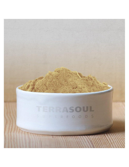 Polvo de Baya Amla Orgánico Terrasoul Superfoods 454 g - Antioxidante Polvo de Baya Amla Orgánico Terrasoul Superfoods 454 g - Antioxidante