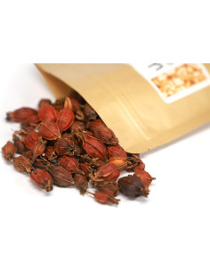 Fruta de Gardenia Shan Zhi Zi 113g - Hierbas Secas Naturales 2