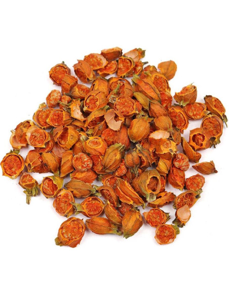 Hierbas Secas a Granel Goodlife Fruta de Gardenia 300g Hierbas Secas a Granel Goodlife Fruta de Gardenia 300g