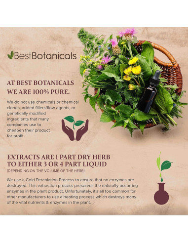 Extracto de Acetosa de Oveja 29.57 ml Mejores Botánicos