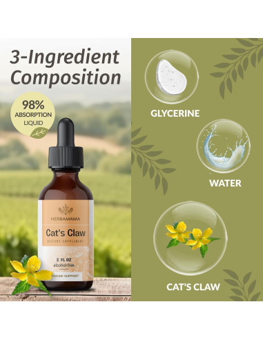 Tintura de Uña de Gato Herbamama 625 mg - Suplemento Vegano