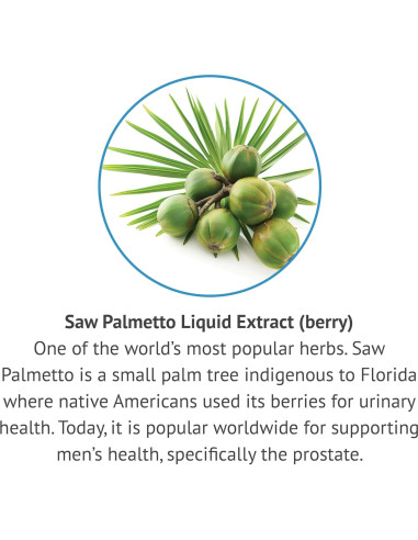 Extracto Líquido de Saw Palmetto Botanic Choice 30 ml Sin Alcohol