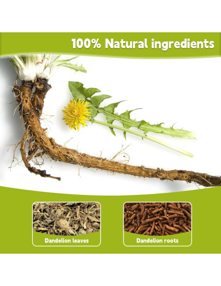 Té de Diente de León 100% Puro Genérico - 60 Bolsitas Té de Diente de León 100% Puro Genérico - 60 Bolsitas