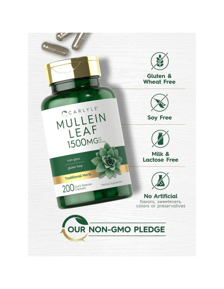 Extracto de Hoja de Mullein Carlyle 1500mg 200 Cápsulas Extracto de Hoja de Mullein Carlyle 1500mg 200 Cápsulas