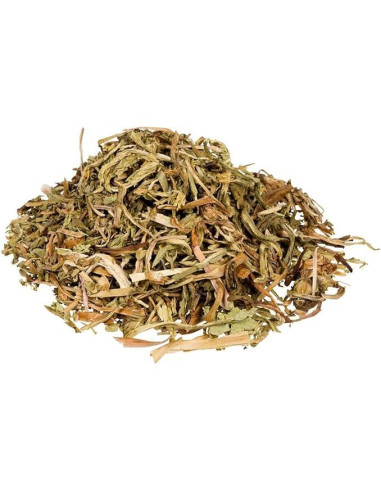 Té Herbal de Diente de León Hanan 113.4g - Detox Digestivo