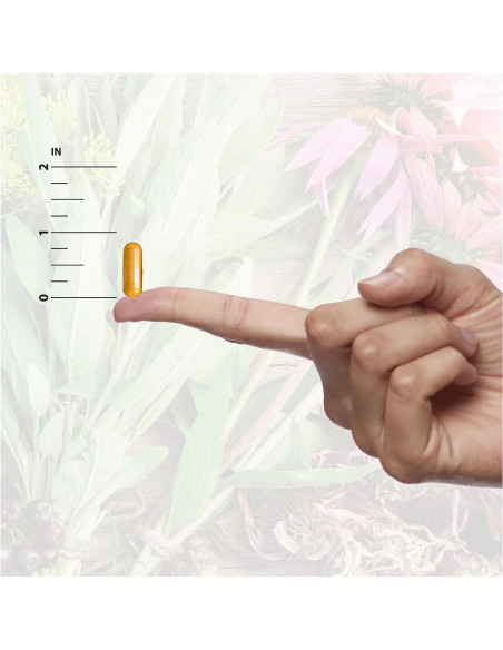 Cápsulas de Mullein Nature's Answer 90 Unidades - Sin Alcohol, Veganas Cápsulas de Mullein Nature's Answer 90 Unidades - Sin Alcohol, Veganas