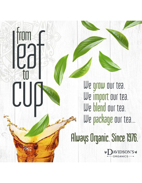 Yerba Mate Hoja Suelta Davidson 453g Orgánica Brasil Yerba Mate Hoja Suelta Davidson 453g Orgánica Brasil