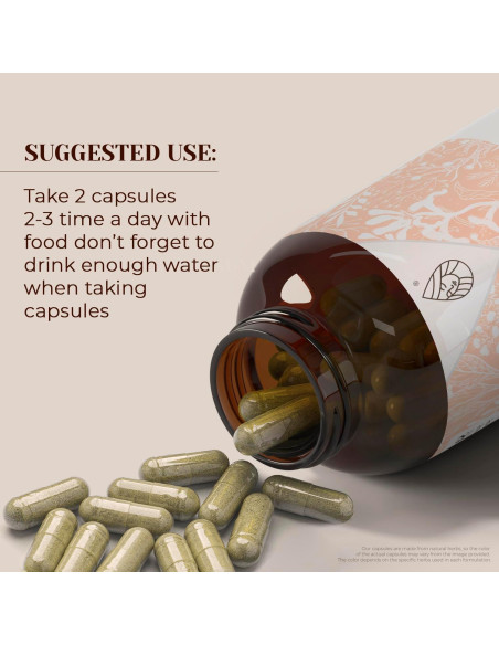 Sarsaparilla Orgánica Garden Organics 60 Cápsulas Vegetarianas Sarsaparilla Orgánica Garden Organics 60 Cápsulas Vegetarianas