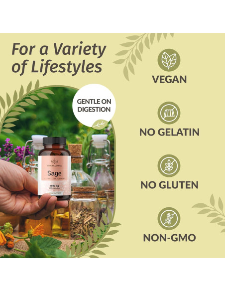 Cápsulas de Salvia Herbamama 1000mg - 100 Caps Veganas Cápsulas de Salvia Herbamama 1000mg - 100 Caps Veganas