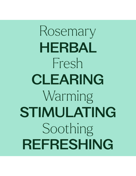 Aceite Esencial de Romero Plant Therapy 100% Puro 100 mL Aceite Esencial de Romero Plant Therapy 100% Puro 100 mL