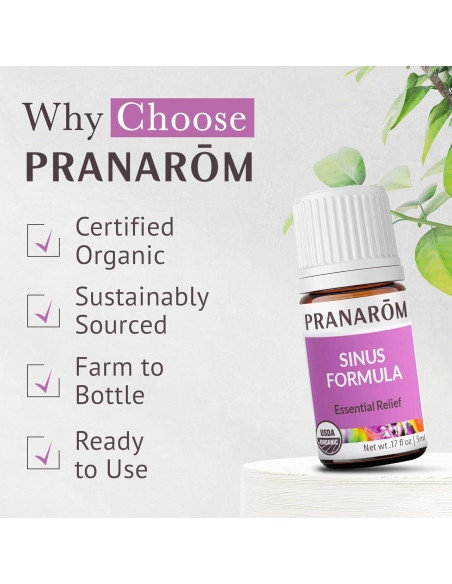 Aceite Esencial Fórmula Sinus Pranarom 5ml - Orgánico y Puro Aceite Esencial Fórmula Sinus Pranarom 5ml - Orgánico y Puro