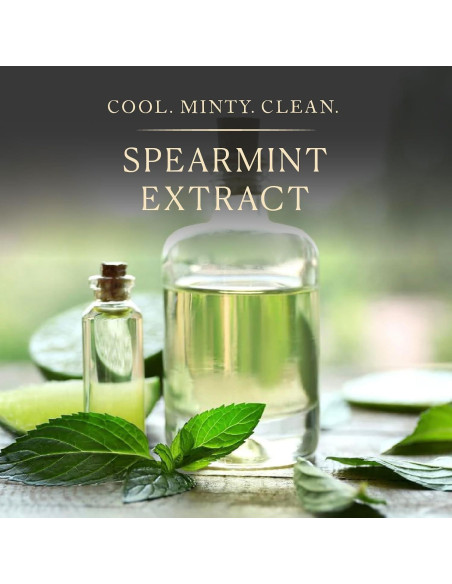 Extracto de Menta Verde Cook's 113.4 g - Natural y Vegano Extracto de Menta Verde Cook's 113.4 g - Natural y Vegano