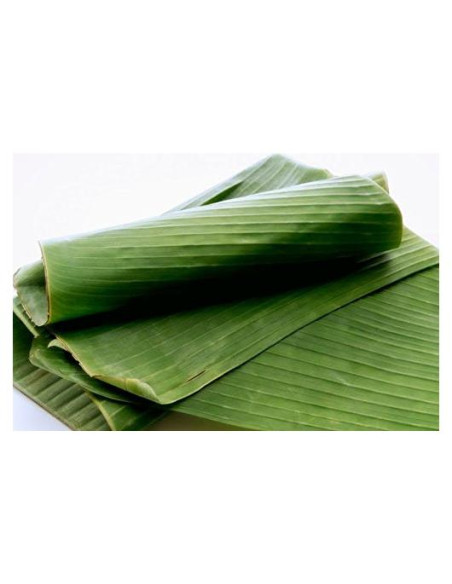 Hojas de Plátano Frescas 0.91 kg - TastePadThai Hojas de Plátano Frescas 0.91 kg - TastePadThai