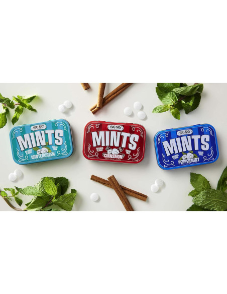 Caramelo Sin Azúcar Big Sky Menta Invierno 50g - Lata 6 Unidades Caramelo Sin Azúcar Big Sky Menta Invierno 50g - Lata 6 Unidades