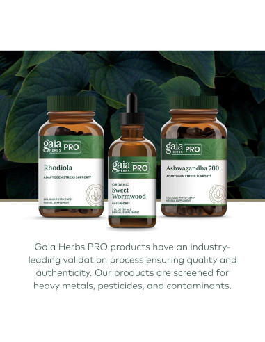Gaia Herbs Pro Sweet Wormwood 60 ml - Salud Digestiva Vegano