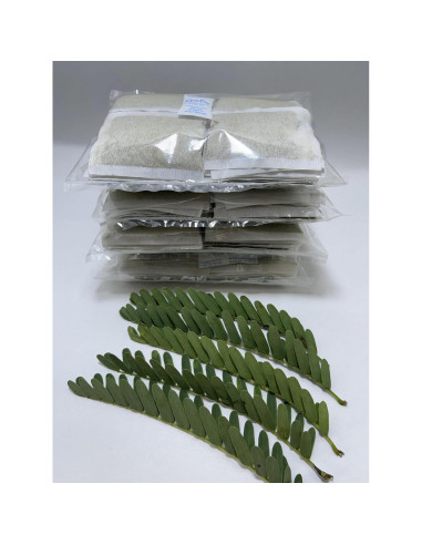 Té de Hojas de Tamarindo Orgánico Ceylonwood - 40 Bolsas 1.5g