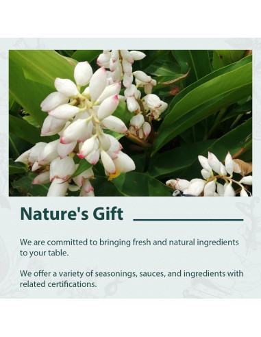 Cardamomo Blanco Soeos 113g - Especia Auténtica de Tailandia