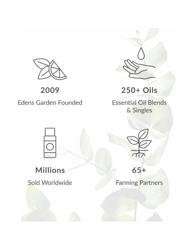 Aceite Esencial de Comino Edens Garden 10 ml 100% Puro