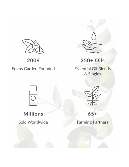 Aceite Esencial de Comino Edens Garden 10 ml 100% Puro Aceite Esencial de Comino Edens Garden 10 ml 100% Puro